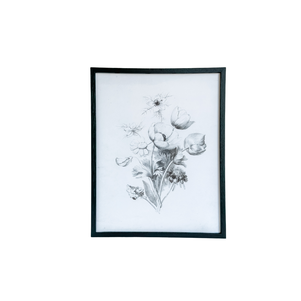 Windflower Framed Print