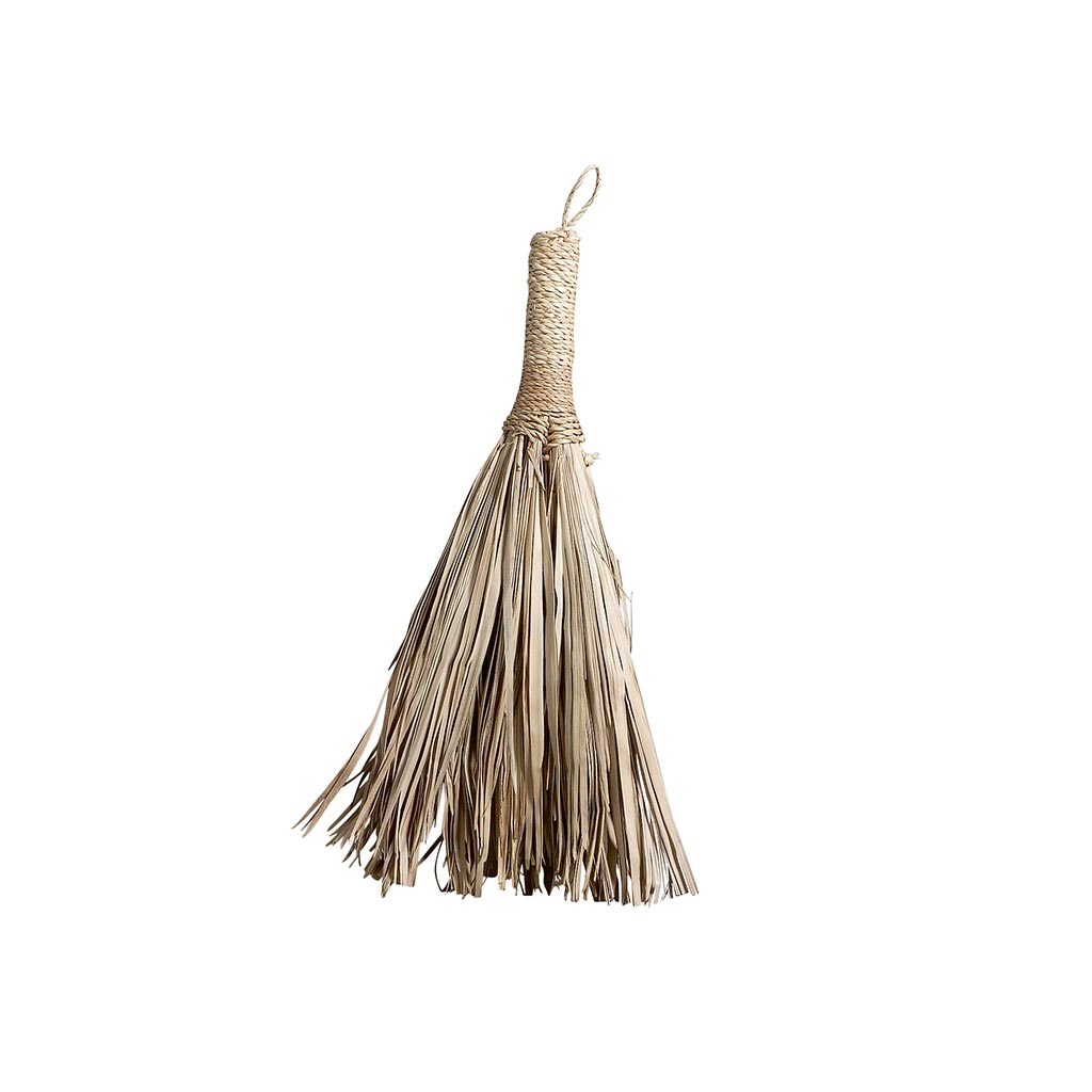 Palmier Broom